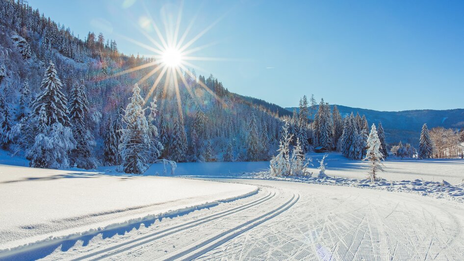 Langlaufloipe Weirerteich | © Tourismusverband Murau