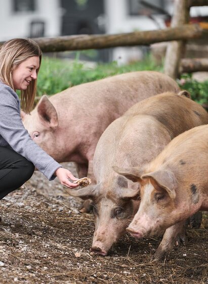 Glückliche Schweine am Steinhauserhof I Gesäuse | Stefan Leitner | © Nationalpark Gesäuse