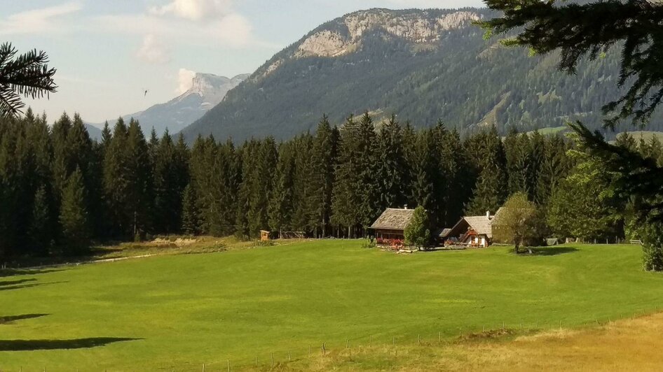 Steinitzenalm4 | © Christina Arzberger