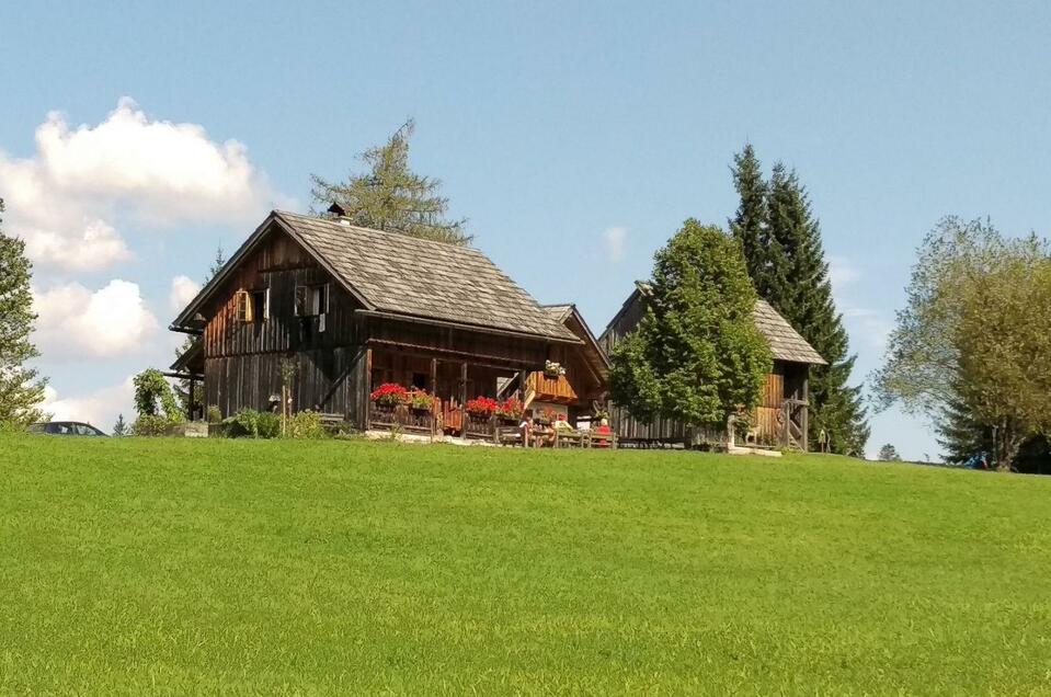 Steinitzenalm - Impression #1 | © Christina Arzberger