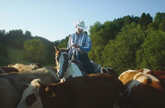 Sunhill Ranch_Western Riding_Eastern Styria | © Sunhill Ranch Windisch