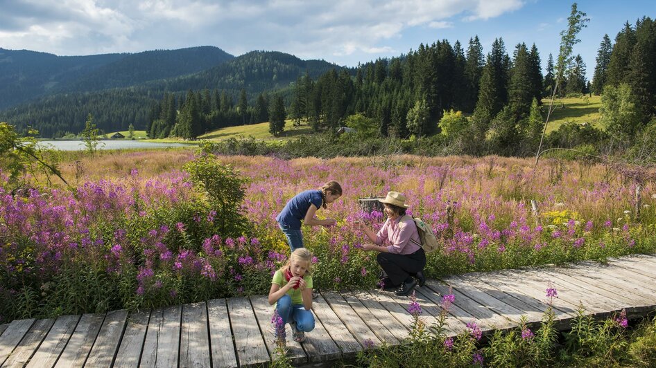 Teichalmmoor_Kinder am Steg_Oststeiermark | © Tourismusverband Oststeiermark