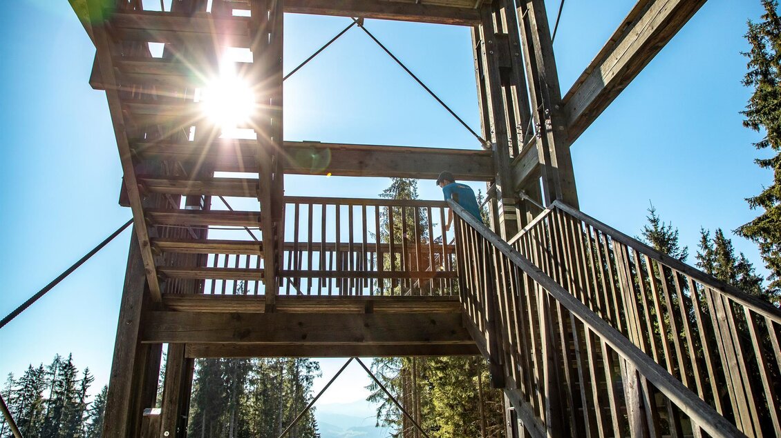 Ein Holzgerüst mit Treppenaufgang und einem klaren blauen Himmel im Hintergrund. Die Sonne strahlt durch die Struktur und schafft eine helle Atmosphäre. | © Anita Fössl