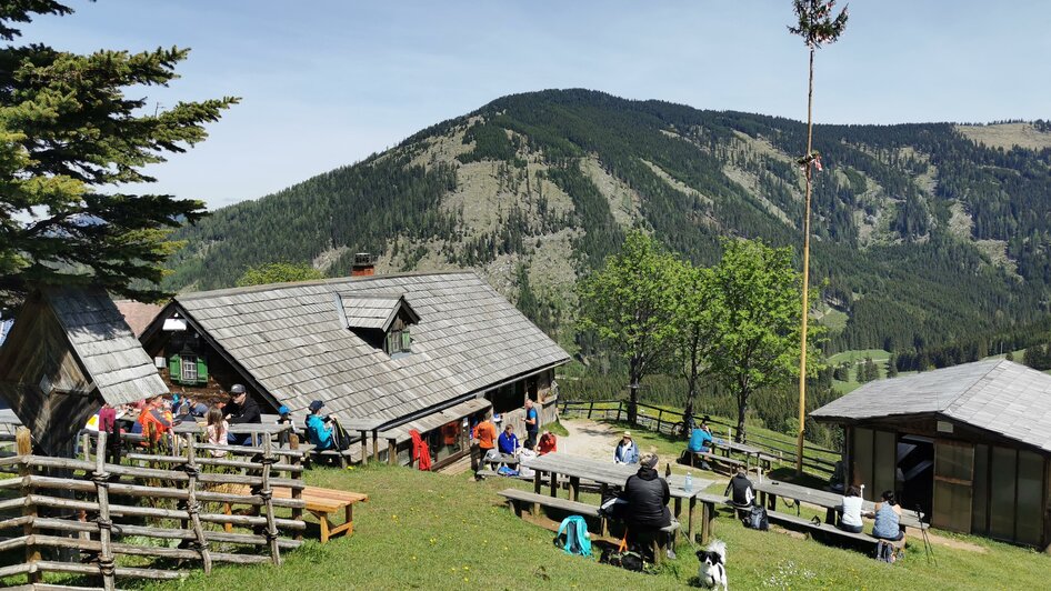 Tyrnaueralm Hütte_Sommer_Oststeiermark | © Tourismusverband Oststeiermark