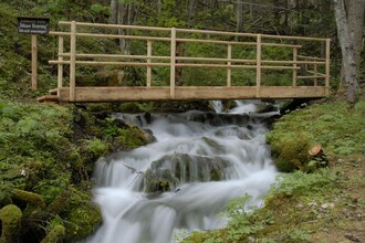 Weg zum Pöllauer Ursprung | © Tourismusverband Murau