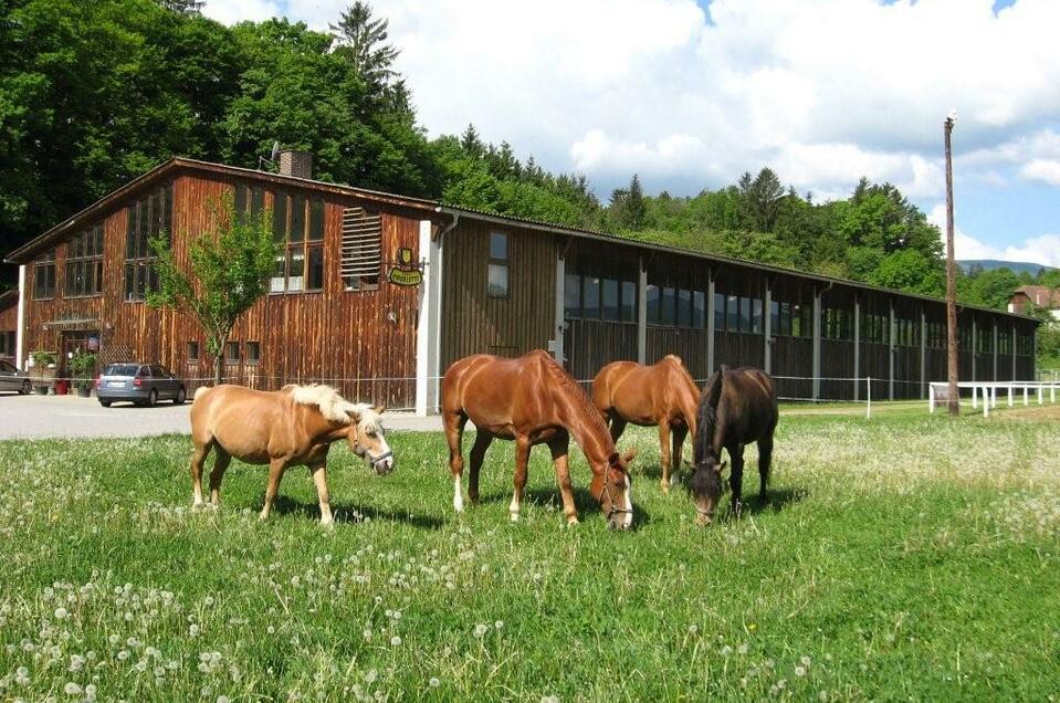 Veranstaltungs- und Reitsportzentrum - Impression #1 | © Reitsportzentrum