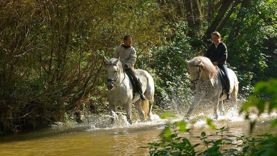Reitsportzentrum_Reiten über Bach_Oststeiermark | © Reitsportzentrum