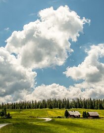 Blick auf die Almen | © Christian Scheucher