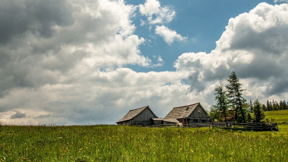 Almengebiet am Fuße des Lahngangkogels | © Christian Scheucher