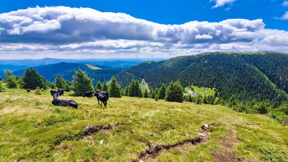 Blick vom Gleinalmspeik auf das Gleinalm Schutzhau | © Verena Menapace