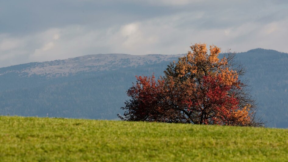 Wallfahrtskirche_Wechselmassiv_Oststeiermark | © Tourismusverband Oststeiermark