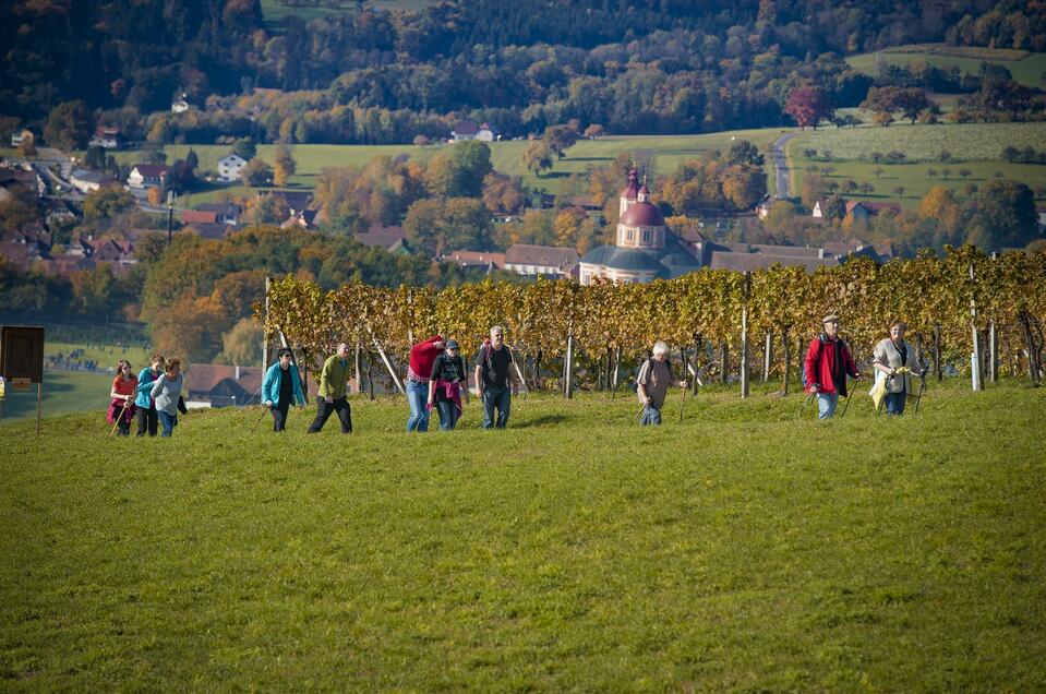 Hiking routes - Impression #1 | © Rene Strasser