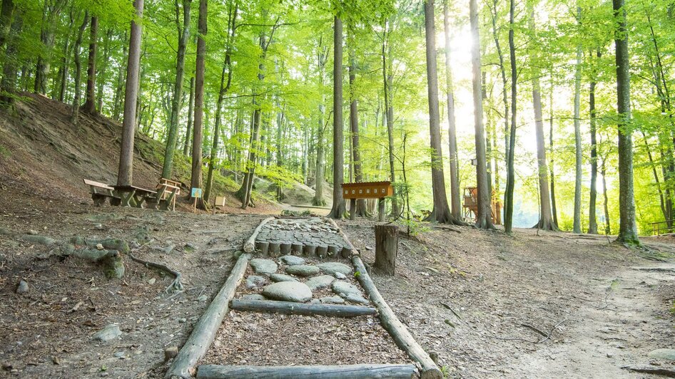 Wanderrouten_Erlebnisrundwanderweg_Oststeiermark | © Helmut Schweighofer