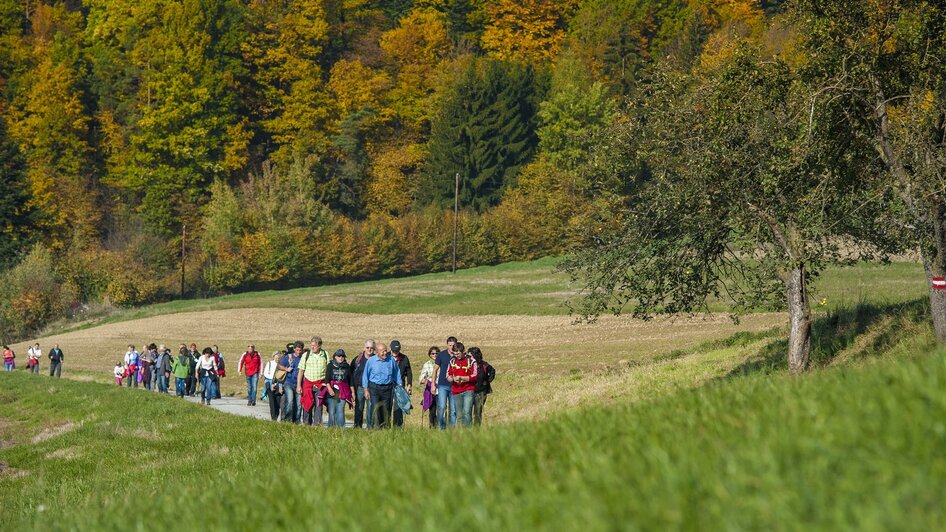 Wanderrouten_Wandergruppe_Oststeiermark | © Rene Strasser