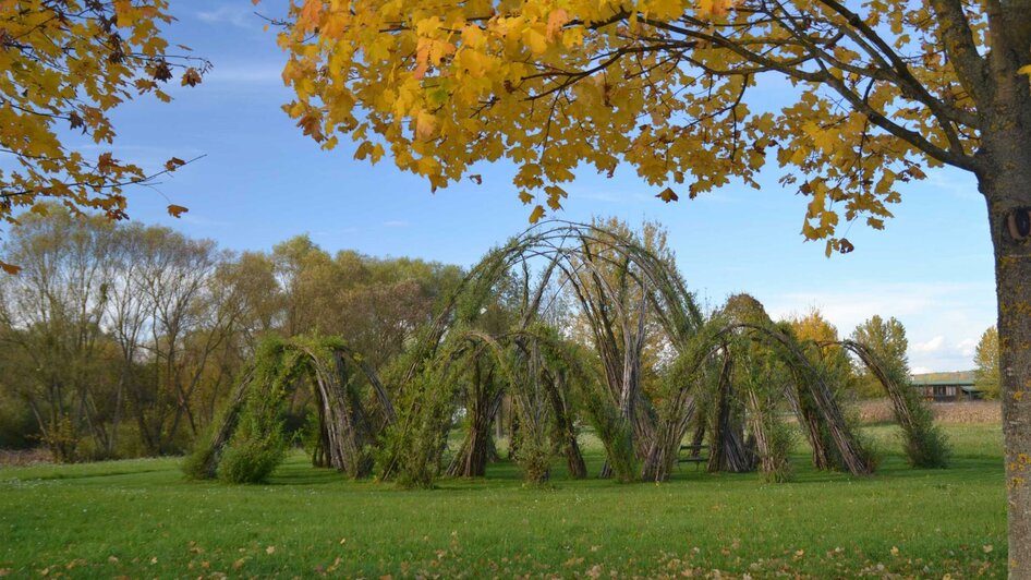 Weidenbau im Herbst | © Kurkommission Bad Blumau