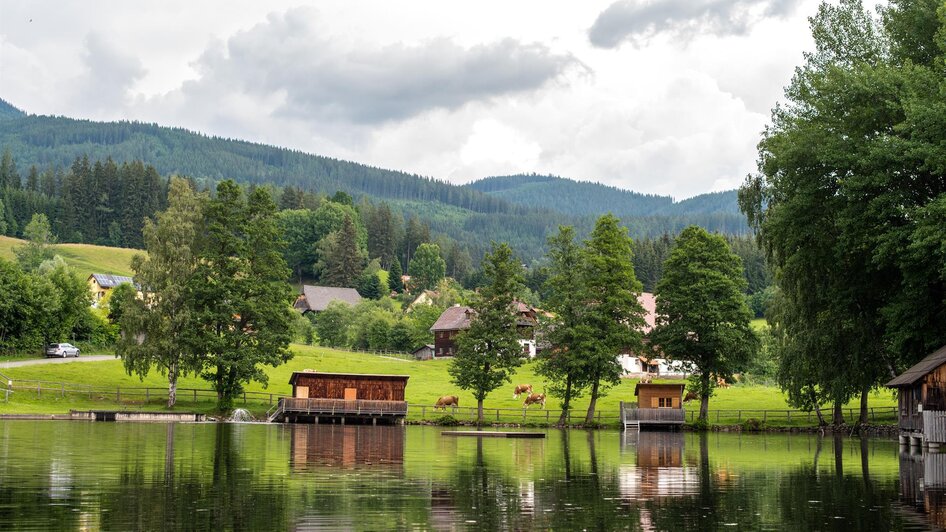 Weiermoarteich-Anlage6-Murtal-Steiermark | © Anita Fössl