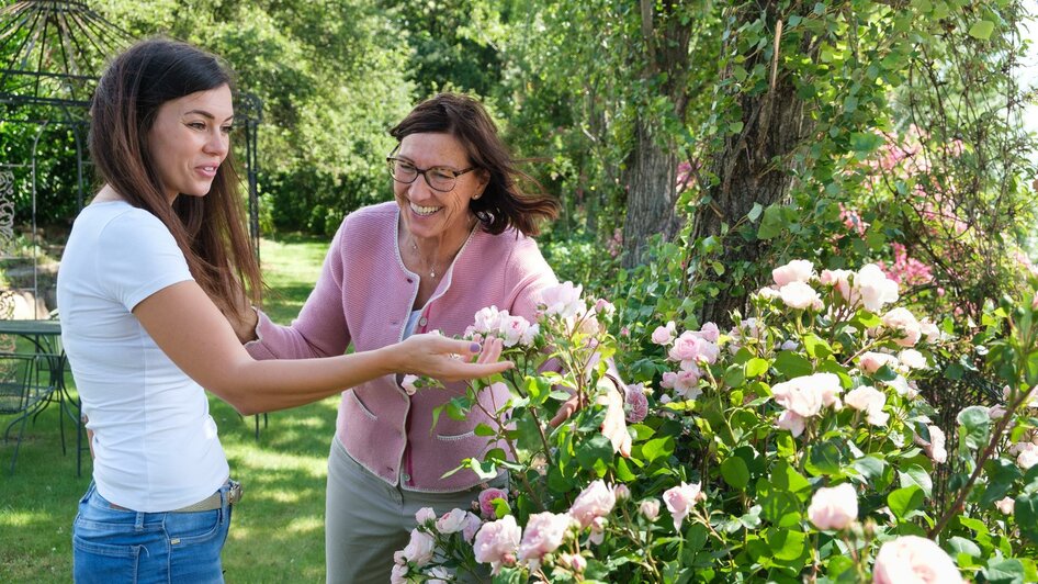 Rosenblüten Pracht beim Genusshof Kleindienst | © Schilcherland Steiermark