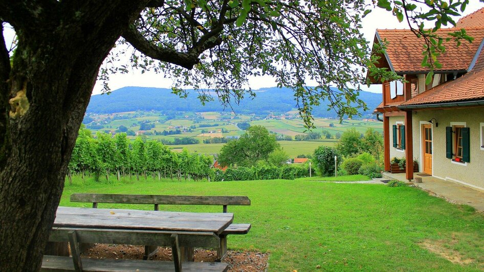 Winzerhaus mit Ausblick | © Weinbau Wurzinger