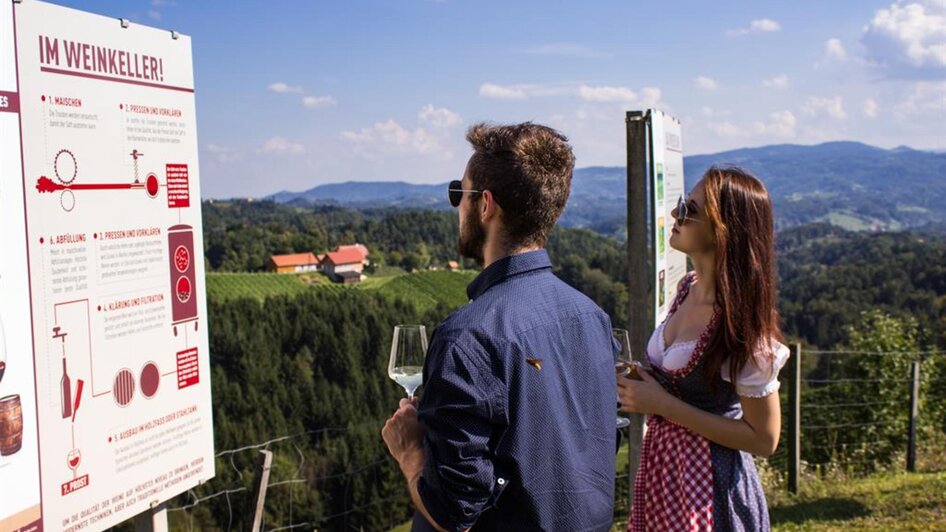 Weinkulturgarten Eichberg 4 | © Familie Lieleg | Kollerhof am Eichberg