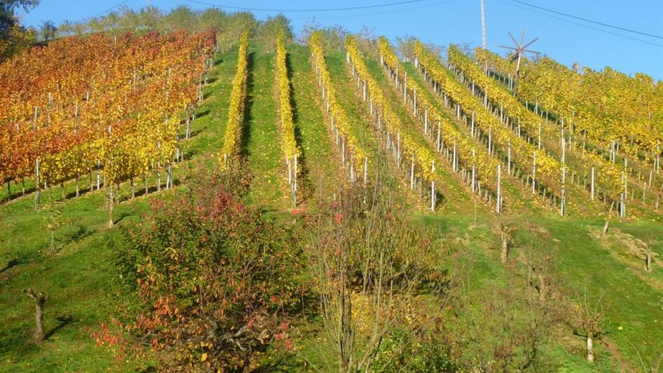 Herbstlandschaft | © Weingut Albrecher | Rita & Herbert Albrecher