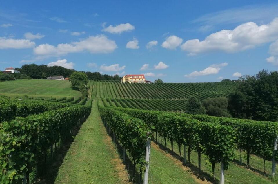 Weingut Christiner - Impression #1