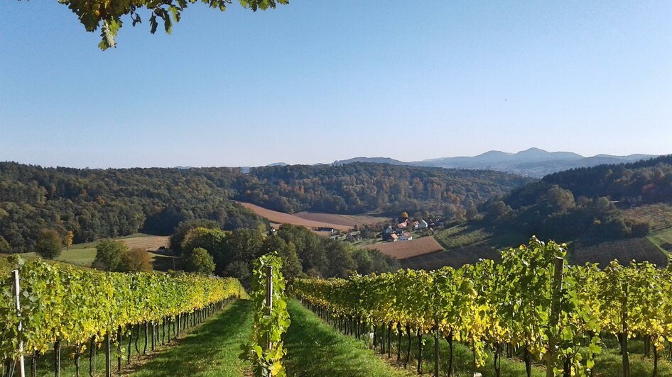 Weingut Dietl - Eschenhof5 | © Andrea Kessler-Dietl