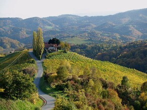 EIBENHOF vom puschnig | © Familie Ertl | Weingut Eibenhof