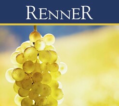 Weingut Renner | © Weingut Karl Renner l Karl Renner