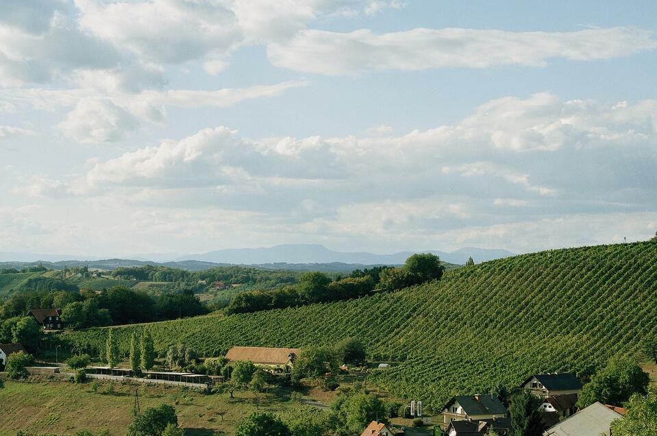 Weingut Neumeister in Straden - Impression #1 | © Weingut Neumeister