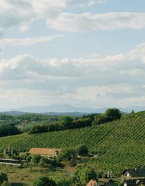 Ried Saziani | © Weingut Neumeister | © Weingut Neumeister