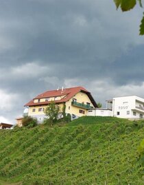 Weingut Toso Hausansicht | © Weingut Toso l Stephan & Matthias Krainer | Stephan & Matthias Krainer | © Weingut Toso l Stephan & Matthias Krainer