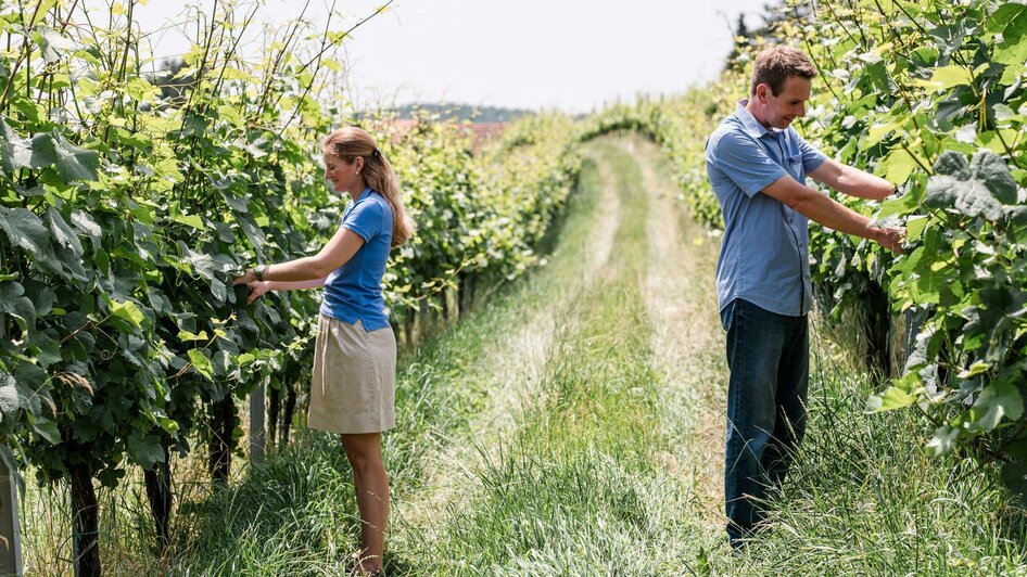 weingut-triebl-steirisches-vulkanland-steiermark-w | © Weingut Triebl