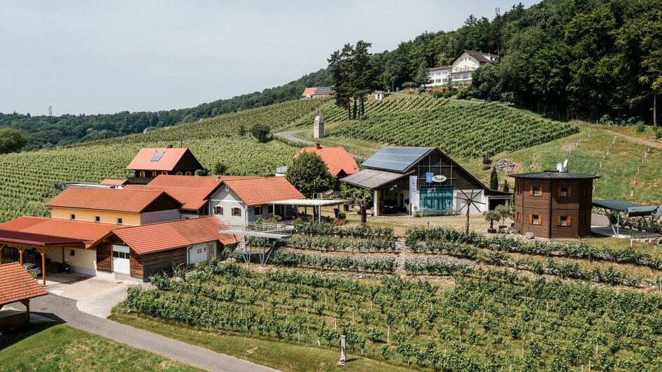 weingut-triebl-steirisches-vulkanland-steiermark-h | © Weingut Triebl