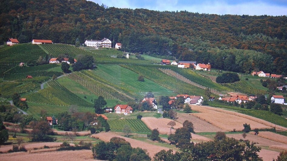 weingut-triebl-steirisches-vulkanland-steiermark-r | © Weingut Triebl