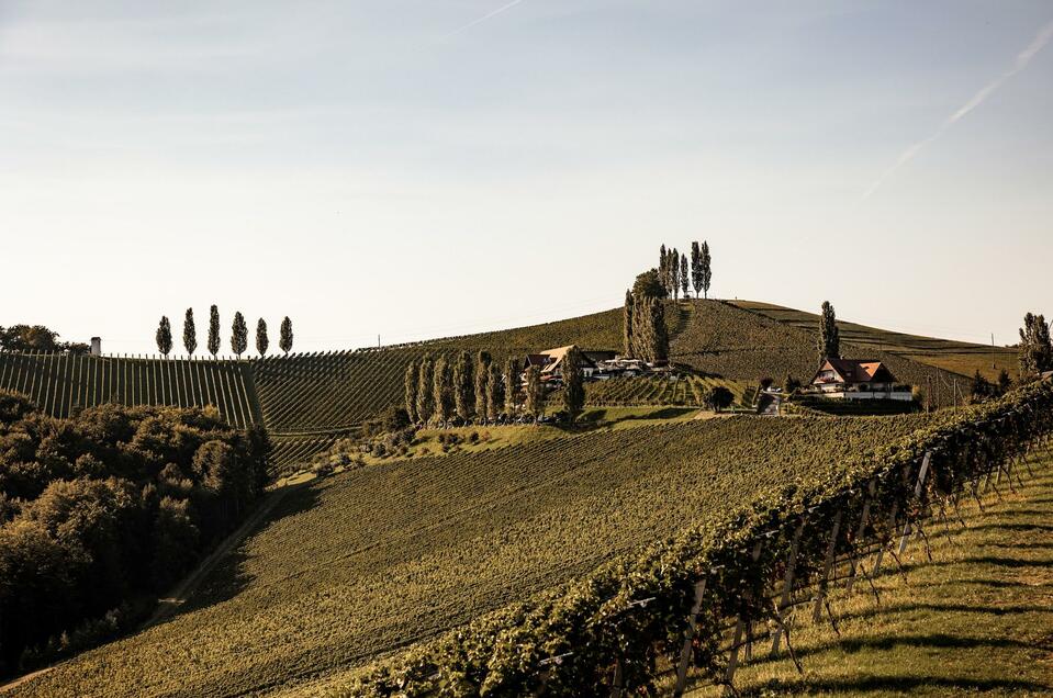 Weingut Tschermonegg - Impression #1