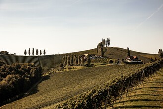 Tschermonegg-Buschenschank