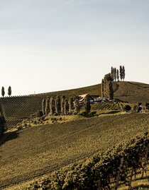 Tschermonegg-Buschenschank