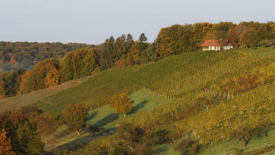 Blick auf den Buschenschank Hartinger | © Familie Hartinger