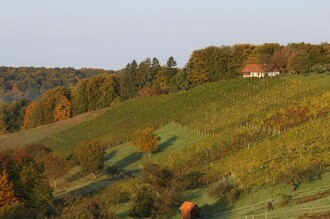 View of the wine tavern Hartinger | © Familie Hartinger