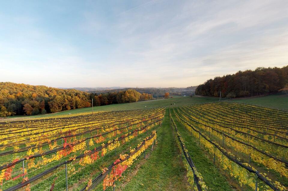 Weinhof Buschenschank Ramminger - Impression #1 | © Familie Ramminger