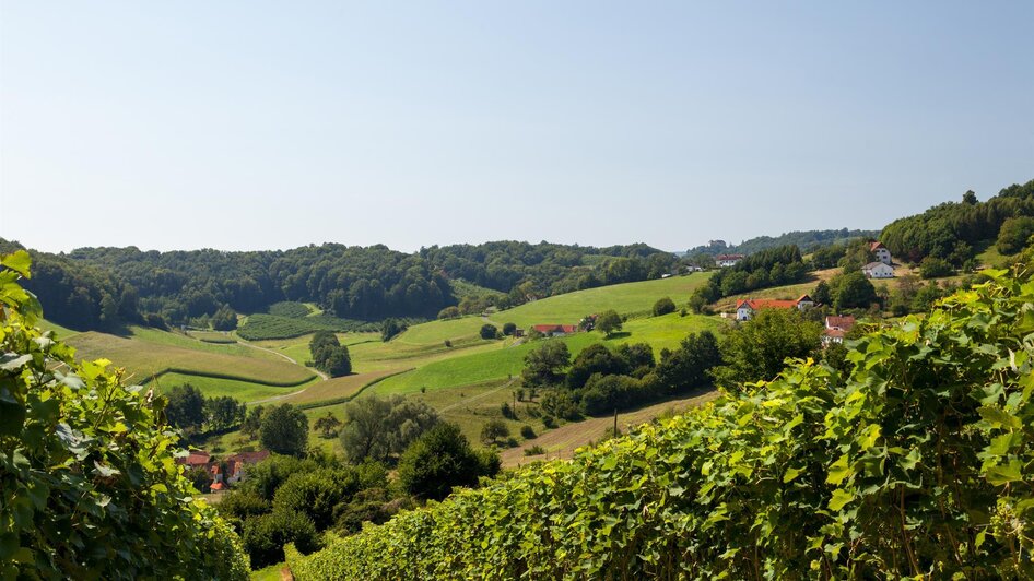 Landschaft um die Kuruzzenschenke | © Weinhof Konrad