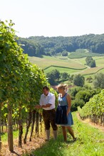 Arbeit im Weingarten | © Weinhof Konrad