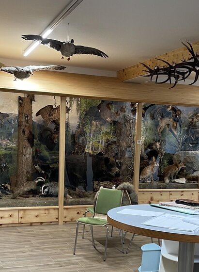 Wildtier & Lebensraum | Julia Puganigg | © Tourismusverband Murau