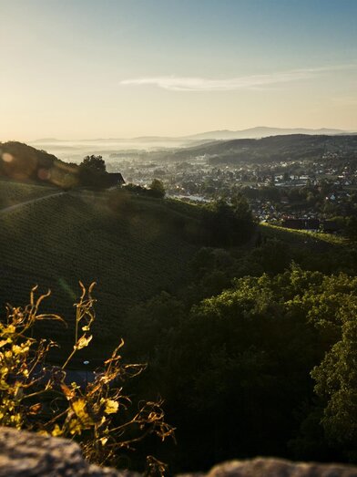Blick von der Burg Deutschlandsberg | © Schilcherland Steiermark | © Schilcherland Steiermark