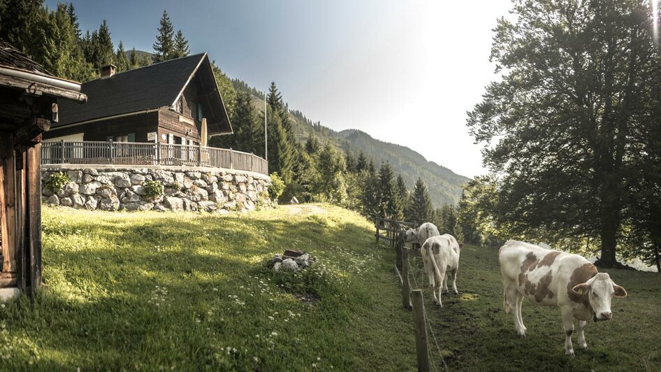 Bergbauern Lackneralm | © Stefan Leitner