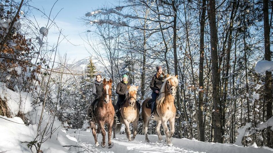 Reiten im Winter | © Stefan Leitner