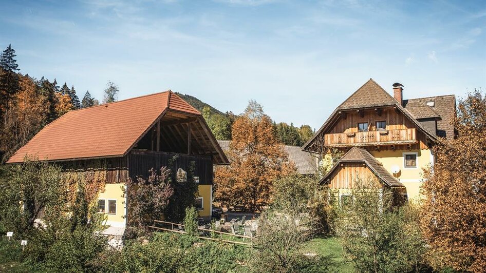 Der Laussabauerhof am Bichl in Weißenbach | © Stefan Leitner