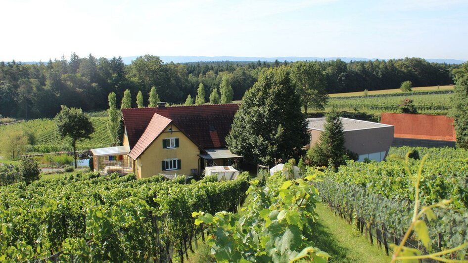 Weingut am Rosenberg | © Weingut Ploder-Rosenberg