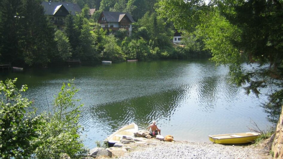 Hirzmann Stausee_sonniges Ufer | © TV Lipizzanerheimat | CH