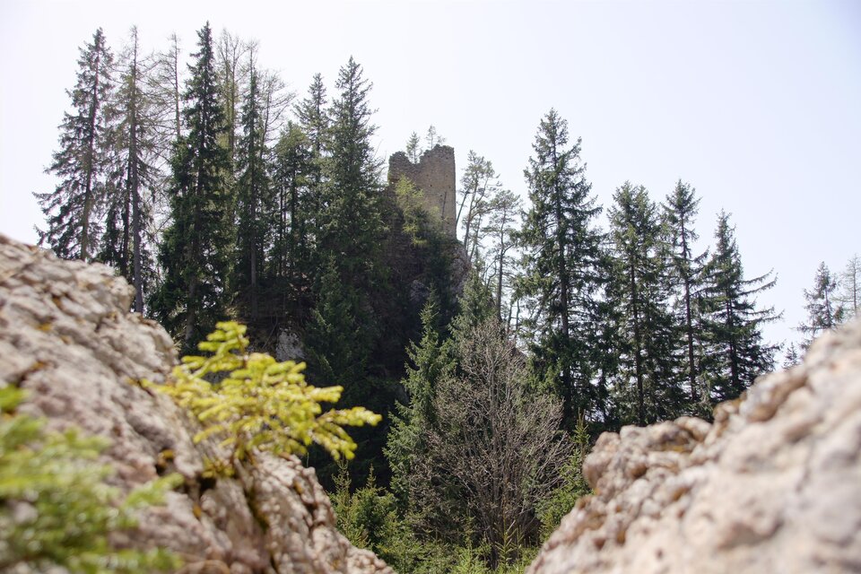 Castle Ruins Ehrenfels - Impression #1 | © Marktgemeinde Kammern